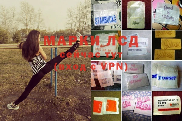 спайс Абдулино